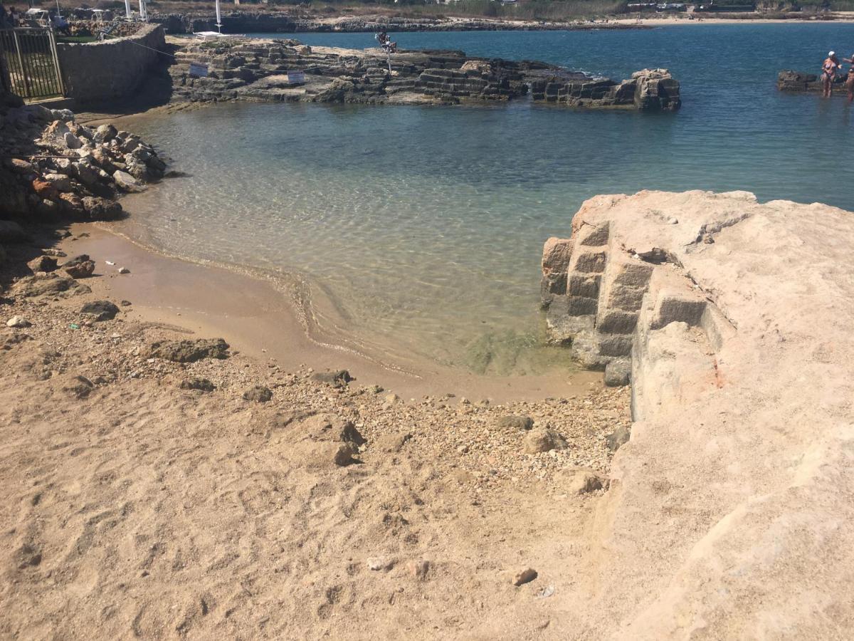 Almarea Blu - Appartamento In Villa Vicino Al Mare - Affitto Breve Polignano a Mare Ngoại thất bức ảnh